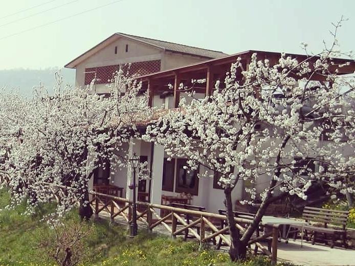 Villa Agriturismo Al Ciliegio Marostica Exterior foto
